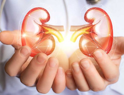 What You Must Know To Protect Your Kidneys