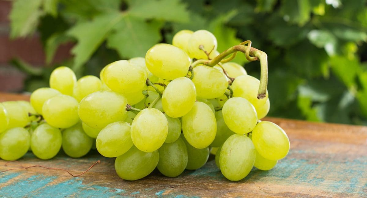 9 Superfoods That Your Liver Will Love Cabot Health