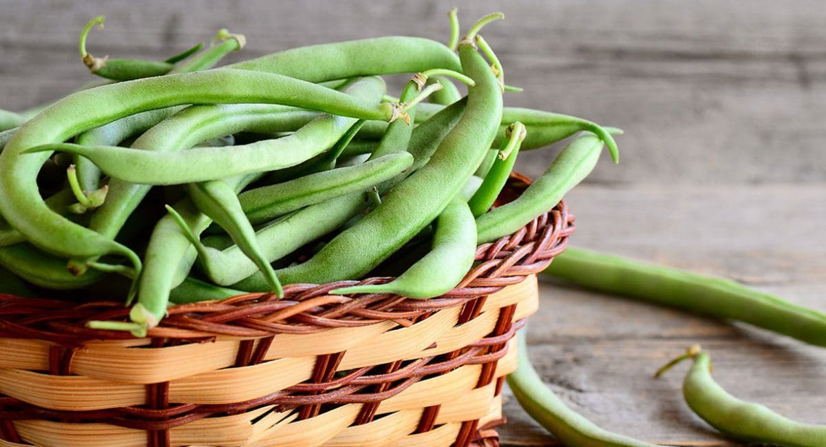 Raw Juicing For Your Liver Cabot Health