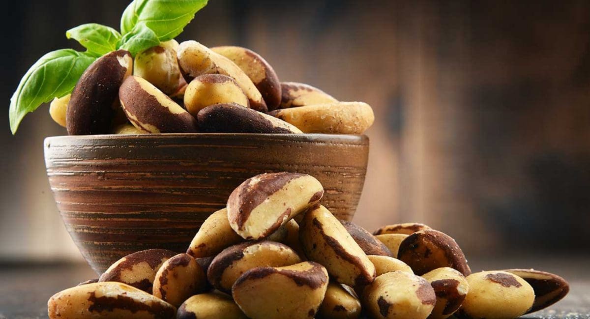 Foods For Healthy Thyroid Function Cabot Health