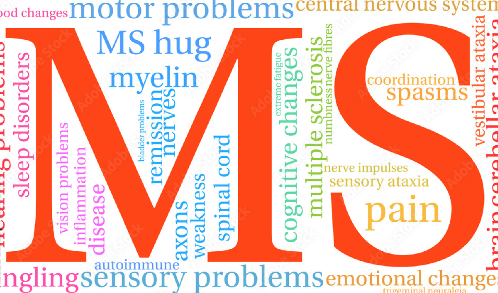 A gluten free diet helps improve multiple sclerosis